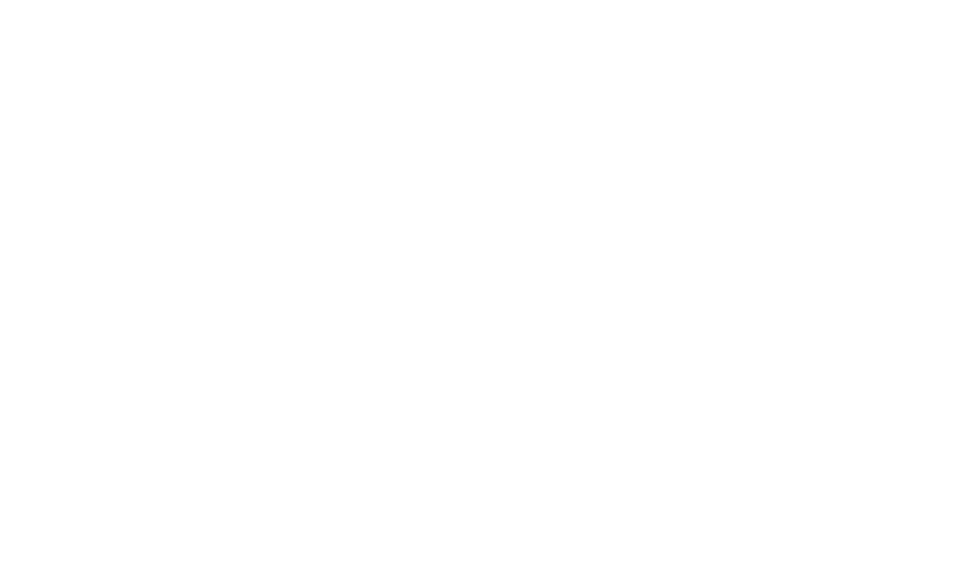 Logo SYO